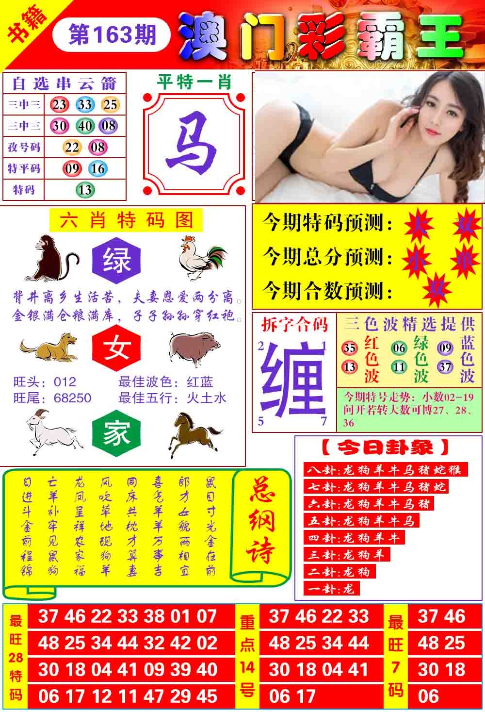 163期澳门彩霸王[图]